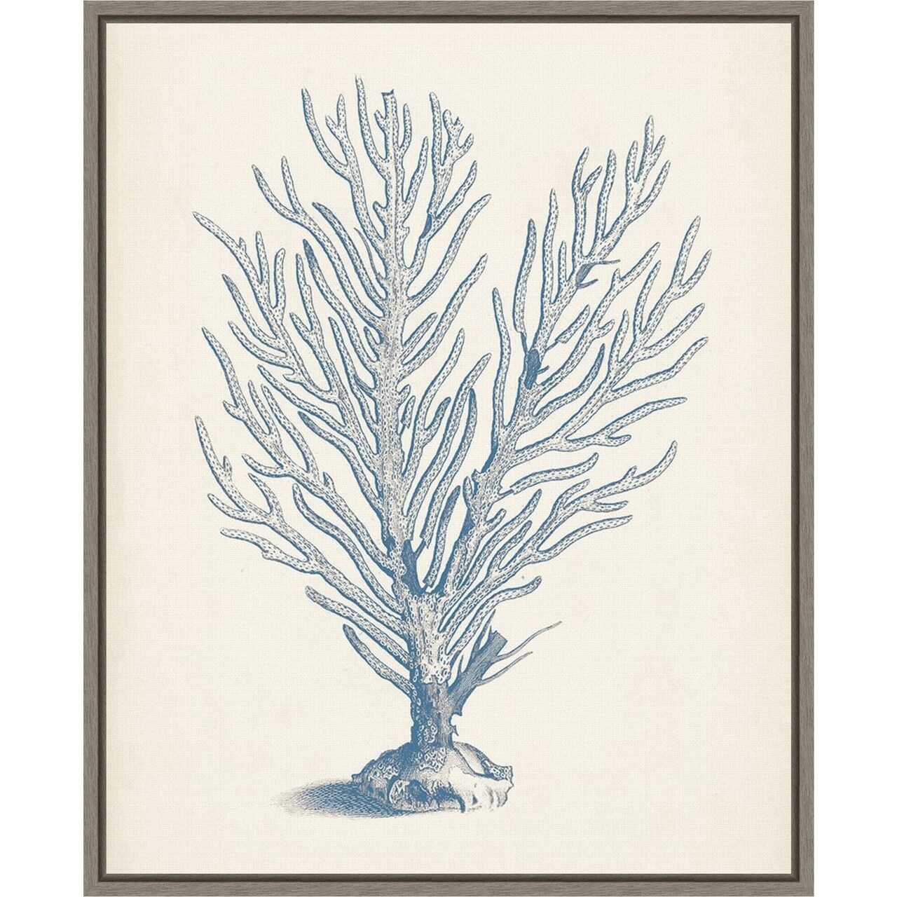 Antique Coral Collection II by Vision Studio 16-in. W x 20-in. H. Canvas Wall Art Print Framed in Grey
